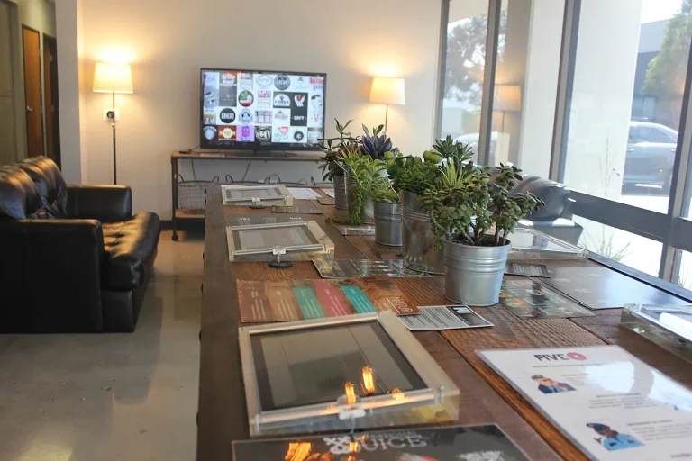 Stress, Deadlines and a Vape in Hand: The New Ritual Nobody Planned Display shelves and seating inside a vaping lounge and retail store