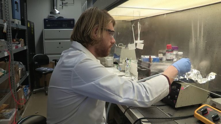A researcher working with advanced laboratory equipment